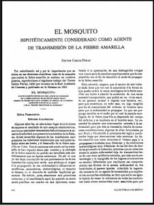 El mosquito hipotéticamente considerado como agente de transmisión de la fiebre amarilla