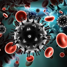 VIH Virus de la Inmunodeficiencia humana