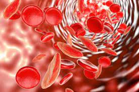 Células de la sangre en un vaso arterial 