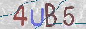 Imagen CAPTCHA