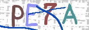 Imagen CAPTCHA