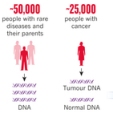 Population genome