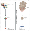 single-cell sequencing