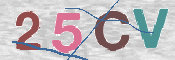 Imagen CAPTCHA